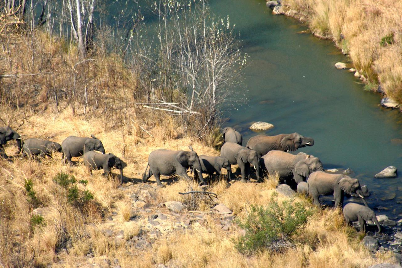 Esiweni Luxury Safari Lodge Ladysmith Exterior foto