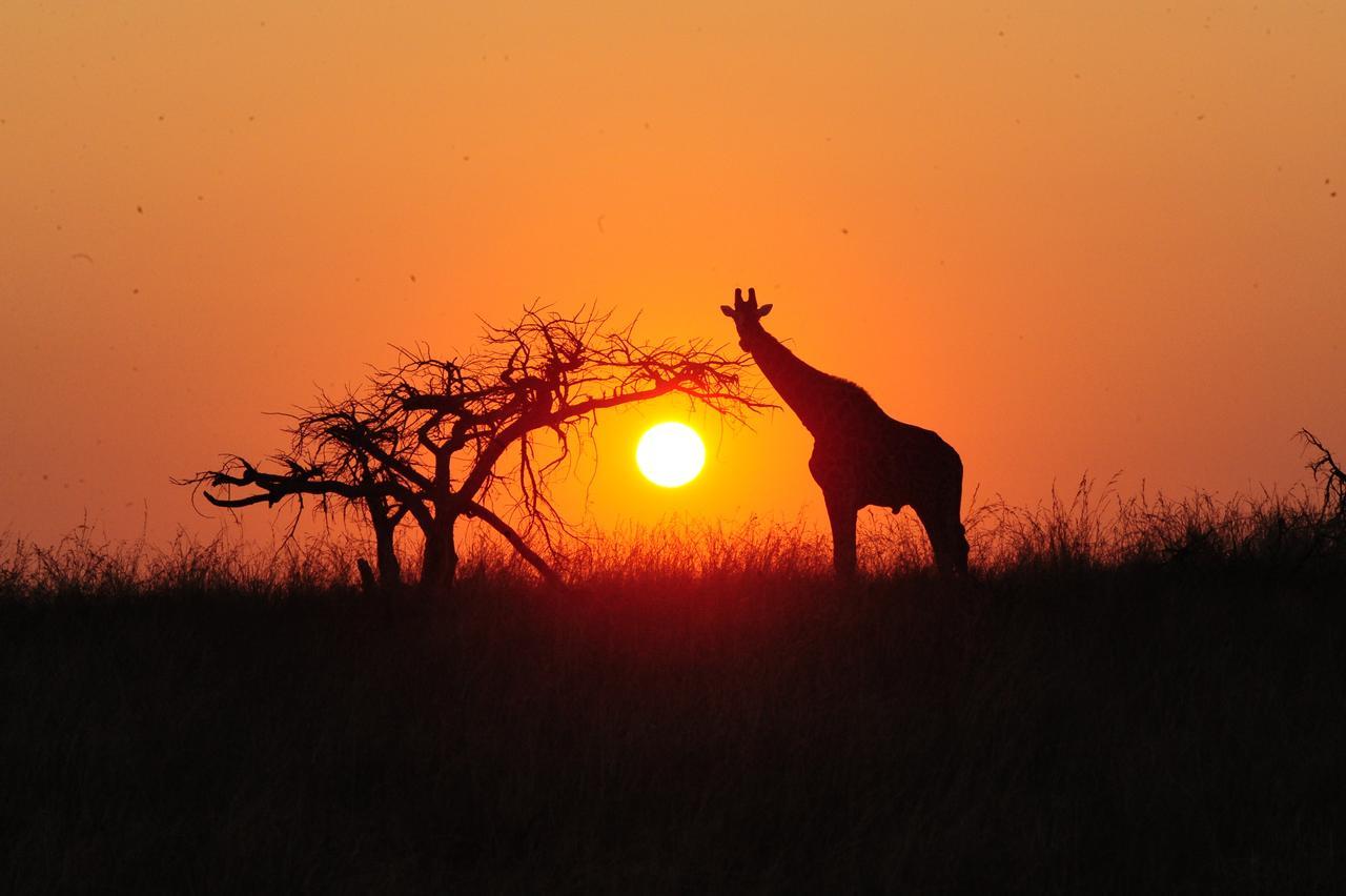 Esiweni Luxury Safari Lodge Ladysmith Exterior foto